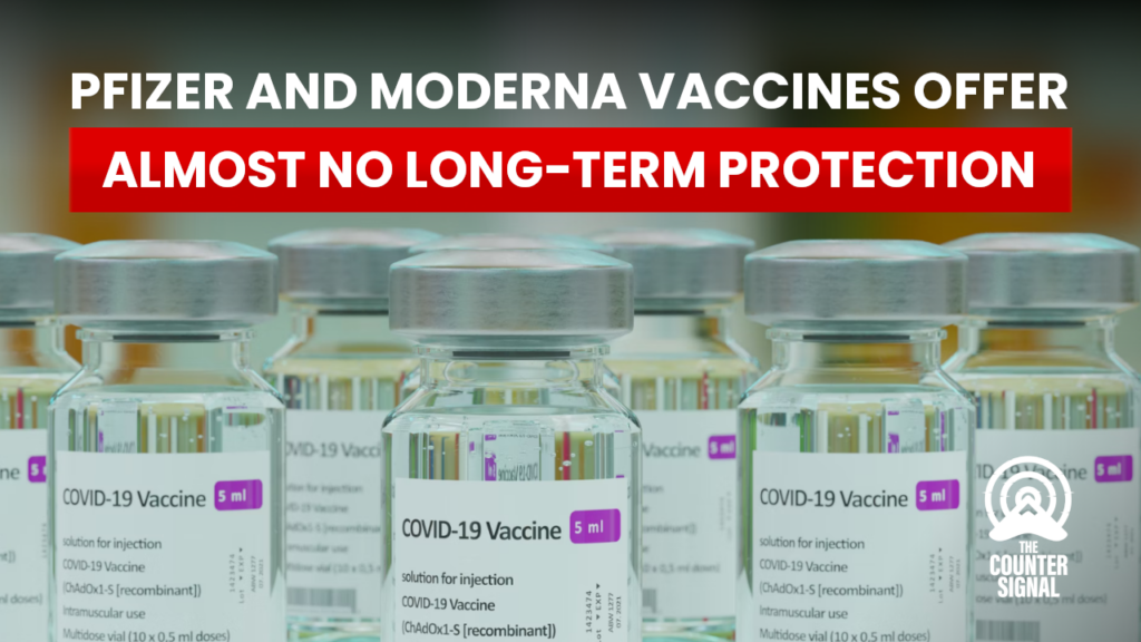 Pfizer and moderna vaccines offer almost no long-term protection