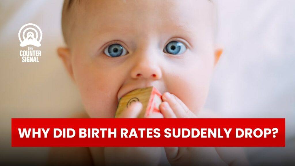 Why did birth rates suddenly drop?