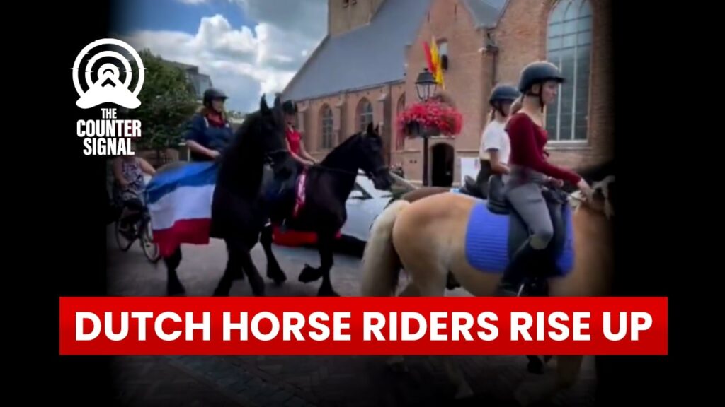 Dutch horse riders rise up