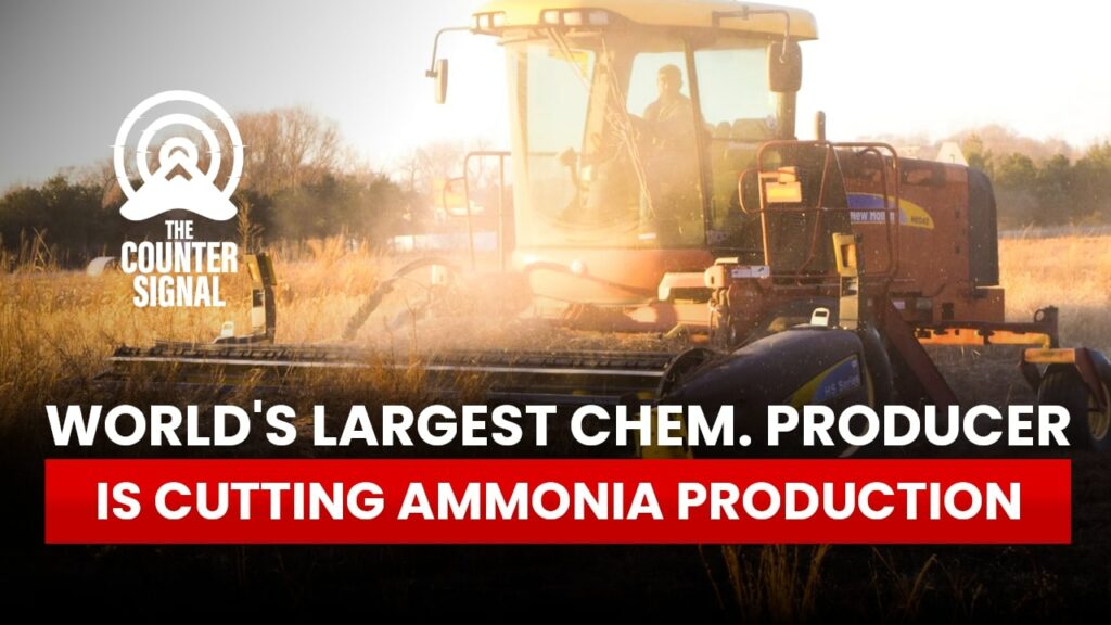 World's largest chemical producer is cutting ammonia production