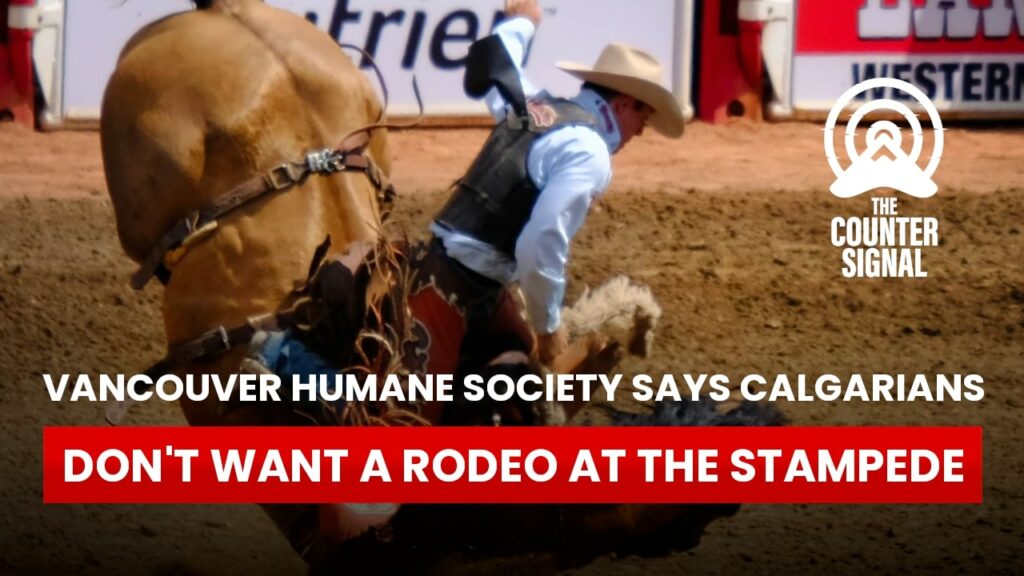 Vancouver Humane Society says Calgarians don't want a rodeo at the Stampede