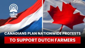 Canadians plan nationwide protests to support Dutch farmers