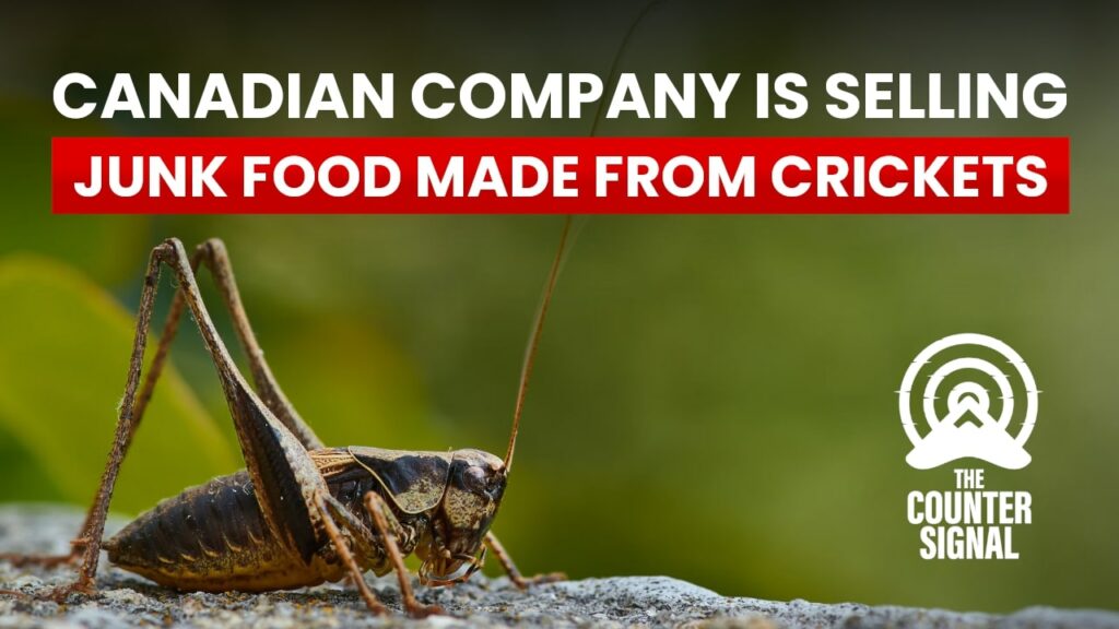 Canadian company is selling junk food made from crickets