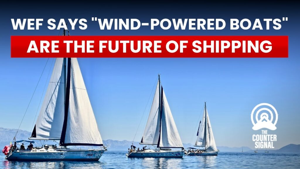 WEF says "wind-powered boats" are the future of shipping