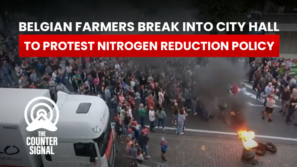 Belgian farmers break into city hall to protest nitrogen reduction policy