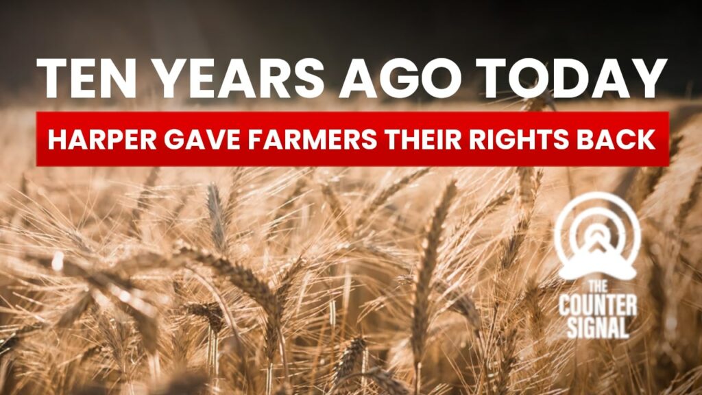 Ten years ago today, Harper gave farmers their rights back