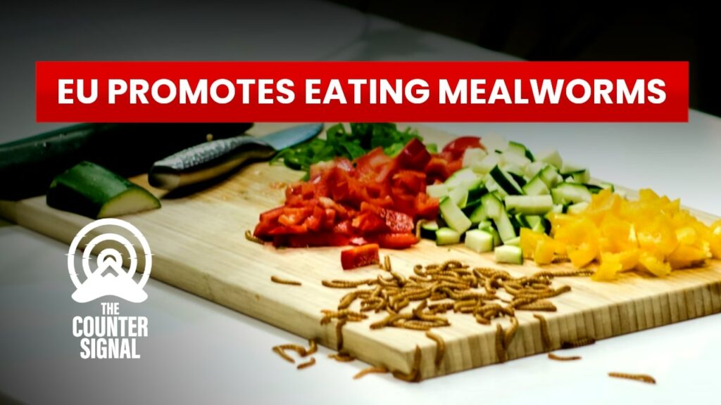 EU promotes eating mealworms