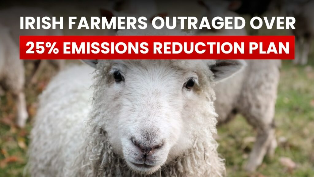 Irish farmers outraged over 25% emissions reduction plan