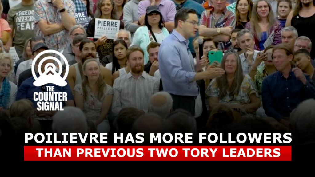 Pierre Poilievre has more followers than Andrew Scheer and Erin O'Toole combined 