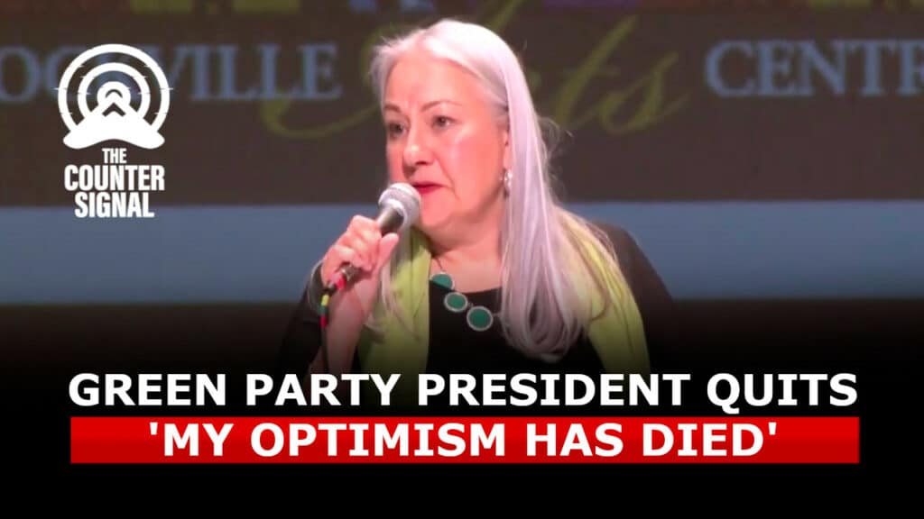 Green Party president quits, says 'dream is dead'