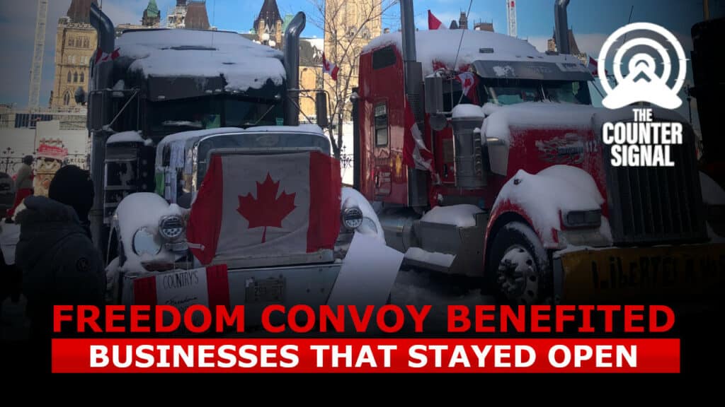 Ottawa business owners admit they chose to close during Freedom Convoy