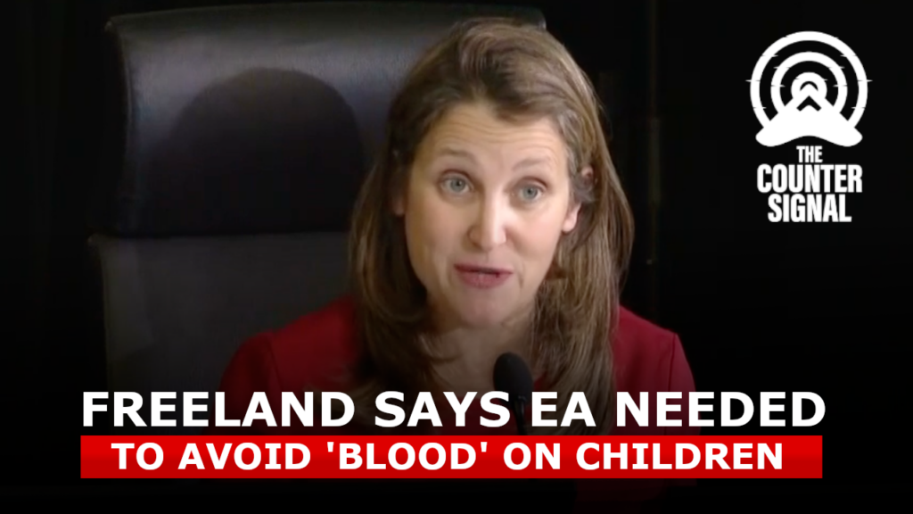 Freeland claims she froze Freedom Convoy bank accounts to protect children