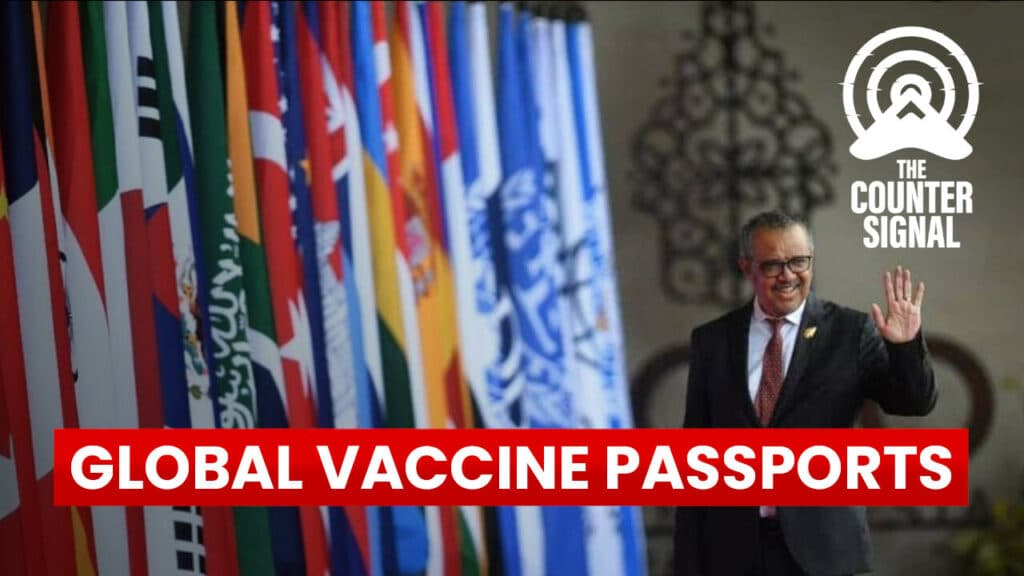G20 countries commit to WHO-facilitated global health passports