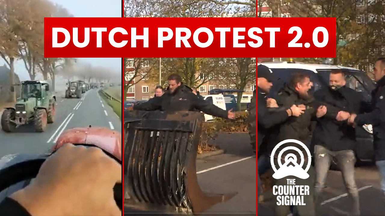 Dutch Farmers Protest Rutte's Forced Farm Buyouts - The Counter Signal