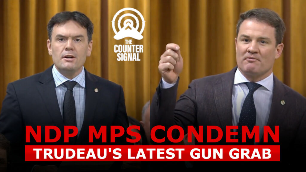 NDP MPs oppose amendment to ban firearms used by hunters, farmers.