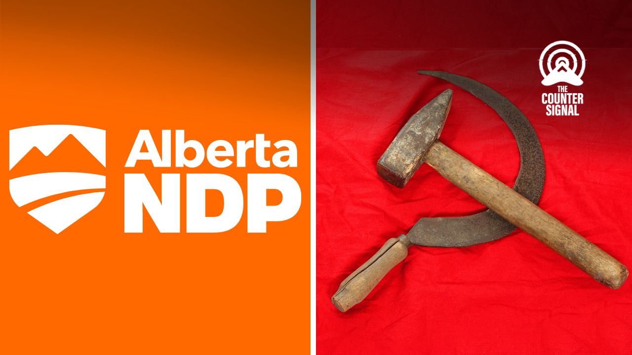 five-examples-of-ndp-candidates-going-full-communist-flipboard